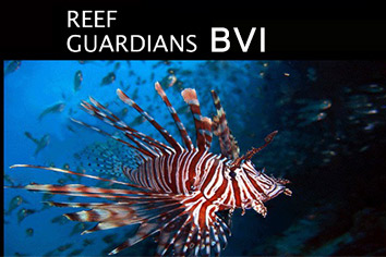 Reef Guardians